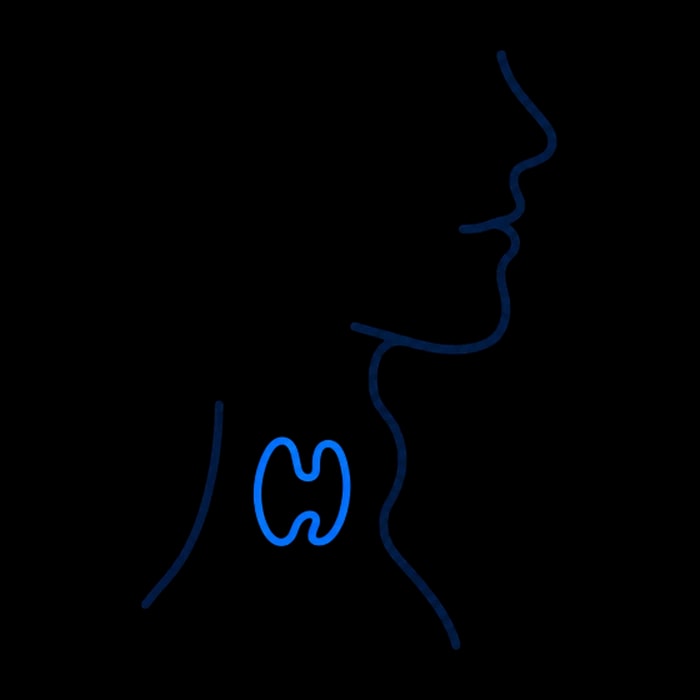 Soft line illustration of a side profile of the neck with the thyroid area outlined